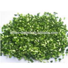 Scallion iqf